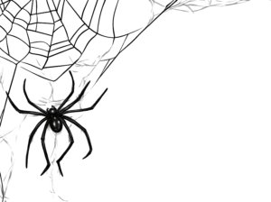 unvergessliche hochzeit helloween spider web left