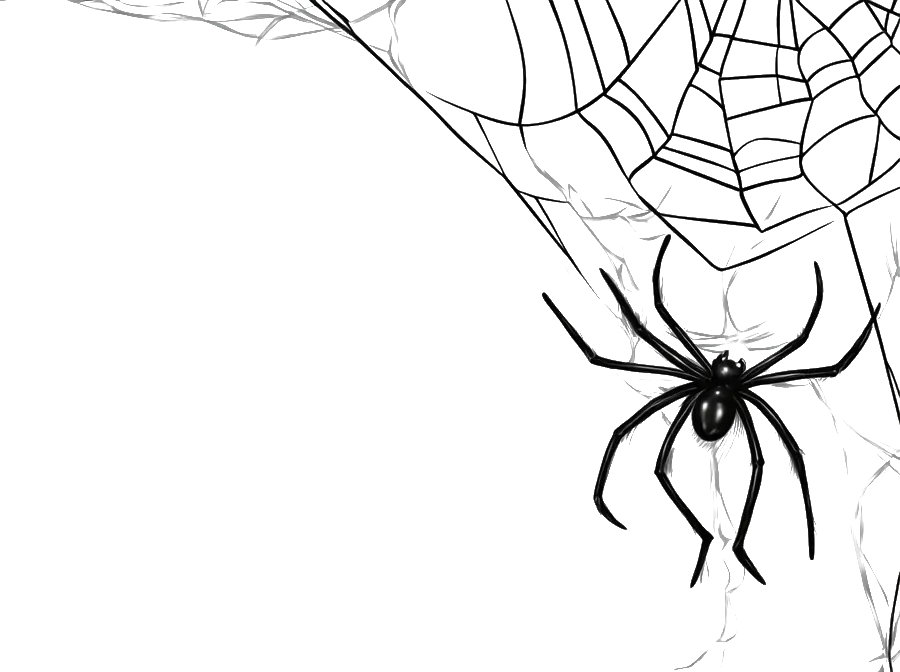 unvergessliche hochzeit helloween spider web