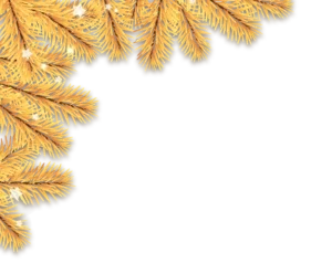 unvergessliche hochzeit xmas fir branches left